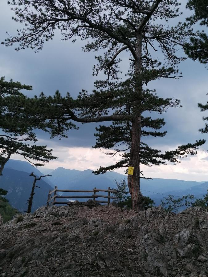 Vikendica Moonlight Villa Zaovine Eksteriør billede