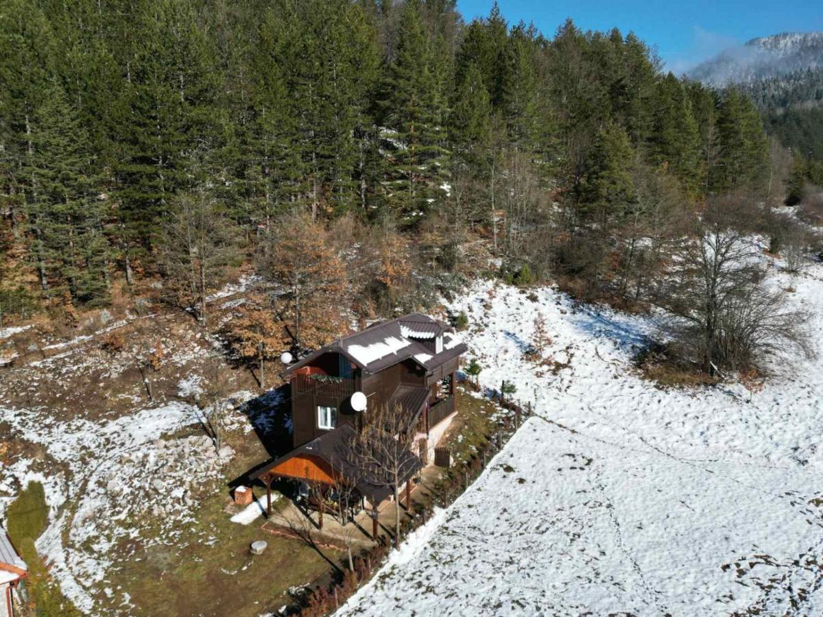 Vikendica Moonlight Villa Zaovine Eksteriør billede