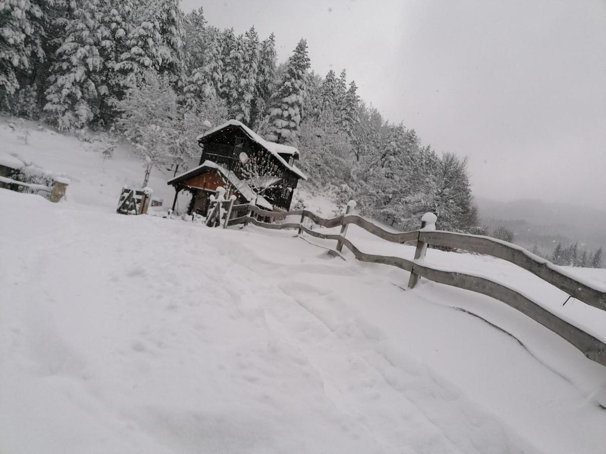 Vikendica Moonlight Villa Zaovine Eksteriør billede